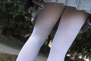 森萝财团新一季：公主妹妹全套丝袜时光机，图包拯救你的日常！