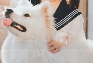 被河豚抚子的‘小恶魔’撩到了？快来下载这些美图，别让自己后悔！